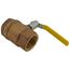 2-1/2" FNPT 2-Piece Ball Valve w/ Stainless Steel Ball & 2-1/4" Stem