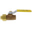 1" Standard Port Threaded Ball Valve w/ Union End (43 Cv)