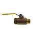 1" FNPT x MNPT 2 Piece Standard Ball Valve