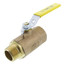 1" FNPT x MNPT 2 Piece Standard Ball Valve