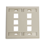 Dual-Gang Quickport, Wallplate w/ ID Windows, 6-port (Ivory)