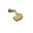 Awaken G110 Multi-Function Showerhead, 1.75 GPM (Moderne Brass), K-72419-G-2MB
