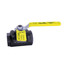 1" Standard Port Carbon Steel Threaded Ball Valve w/ Latch Lock Handle & Nut (43 Cv)