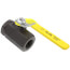 3/4" Standard Port Carbon Steel Threaded Ball Valve (30 Cv)