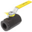 3/4" Standard Port Carbon Steel Threaded Ball Valve (30 Cv)