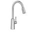 Riley Chrome High Arc Pulldown Kitchen Faucet, 7402C