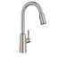 Riley Spot Resist Stainless 1 Handle High Arc Pulldown Kitchen Faucet, 7402SRS