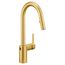 Align Brushed Gold 1 Handle Pulldown Kitchen Faucet, Motionsense Wave, 7565EWBG