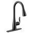 Arbor 1 Handle Pulldown Kitchen Faucet, 1.5 GPM, 7594EVBL (Matte Black)