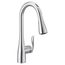Arbor 1 Handle Pulldown Kitchen Faucet, 1.5 GPM, 7594EVC (Chrome)