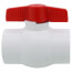 2" 770N SCH 40 Economy PVC Ball Valve - Threaded Ends