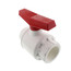 2-1/2" 770 SCH 40 PVC Ball Valve - Threaded Ends