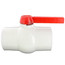 2-1/2" 770N SCH 40 Economy PVC Ball Valve - Threaded Ends