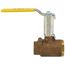 3/4" FNPT Full Port 2-Piece Ball Valve w/ Mounting Pad, Stainless Steel Ball & 2-1/4" Stem