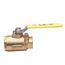 1" FNPT Full Port 2-Piece Ball Valve w/ Mounting Pad, Stainless Steel Ball & 2-1/4" Stem