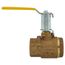 1-1/4" FNPT Full Port 2-Piece Ball Valve w/ Mounting Pad, Stainless Steel Ball & 2-1/4" Stem