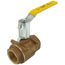 1-1/2" FNPT Full Port 2-Piece Ball Valve w/ Mounting Pad, Stainless Steel Ball & 2-1/4" Stem