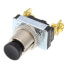 Black Plastic Momentary Contact Push-Button Switch with Screw Termination (120/240V)