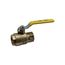 2" Threaded Full Port Brass Ball Valve w/ SS Ball & Stem, 77F14801