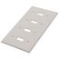 4-Gang Electrical Wall Plate, 4 Toggles, Device Mount (Light Almond)