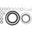 Gasket Set, WB2A, 7817898