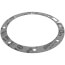 Gasket (Burner Tube, 1.5/2.0 MMBH), 7855742