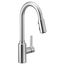 Genta Lx Chrome 1 Handle Pulldown Kitchen Faucet, 7882