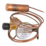 Expansion Valve, 78L19
