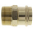 1-1/4" ProPress x Male Bronze Adapter (Lead Free)