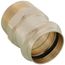 1-1/2" ProPress x Male Bronze Adapter (Lead Free)
