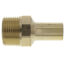 1/2" ProPress FTG x 3/4" Male Street Bronze Adapter (Lead Free)