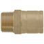 1" ProPress FTG x 3/4" Male Street Bronze Adapter (Lead Free)