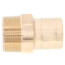 1-1/4" ProPress FTG x Male Street Bronze Adapter (Lead Free)