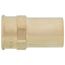 3/4" ProPress FTG x 1/2" Female Street Bronze Adapter (Lead Free)
