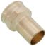 3/4" ProPress FTG x Female Street Bronze Adapter (Lead Free)