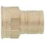 1" ProPress FTG x Female Street Bronze Adapter (Lead Free)