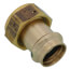 3/4" ProPress x 1" Female Bronze Union Tailpiece (Lead Free)