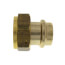 1" ProPress x 1-1/4" Female Bronze Union Tailpiece (Lead Free)