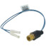 Low Ambient Pressure Switch, 79J07