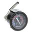 Thermometer, 925507