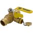 1" Press Full Port Ball Valve w/ Drain & Reversible Handle