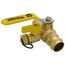 1" Press Full Port Ball Valve w/ Drain & Reversible Handle (Lead Free)