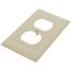1-Gang Electrical Wall Plate, Nylon, Duplex (Ivory)