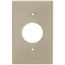 1-Gang Electrical Wall Plate, Nylon, 1.406" Hole Single Receptacle (Ivory)