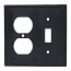 2-Gang Electrical Wall Plate, Nylon, Combo - Toggle Switch & Duplex (Black)