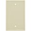 1-Gang No Device Blank Wallplate, Box Mount (Ivory)