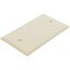 1-Gang No Device Blank Wallplate, Box Mount (Ivory)