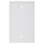1-Gang No Device Blank Wallplate, Box Mount (White)