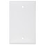 1-Gang No Device Blank Wallplate, Box Mount (White)