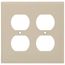 2-Gang Electrical Wall Plate, Nylon, Duplex (Ivory)